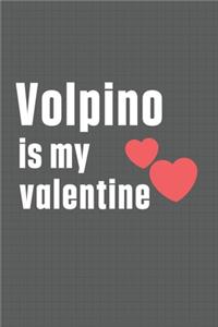 Volpino is my valentine
