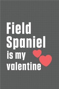 Field Spaniel is my valentine