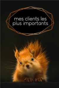 Mes clients les plus importants