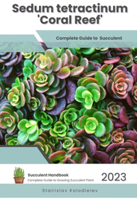 Sedum tetractinum 'Coral Reef'