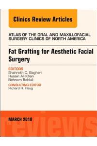 Fat Grafting for Aesthetic Facial Surgery, An Issue of Atlas of the Oral & Maxillofacial Surgery Clinics