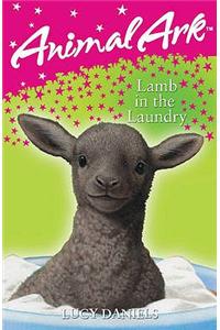Lamb in the Laundry