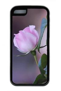 Master Skylark; Or, Will Shakespeare's Ward; A Dramatization of the Story of the Same Name by John Bennett, in Five Acts