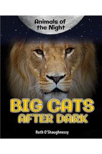 Big Cats After Dark