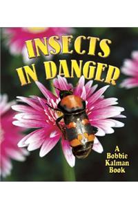 Insects in Danger