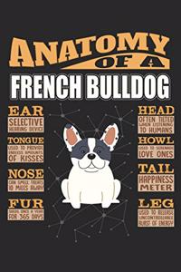 Anatomy Of A French Bulldog