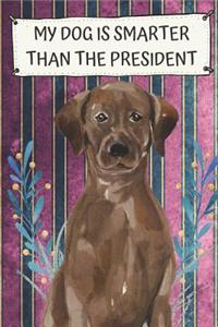 My Dog Is Smarter Than The President