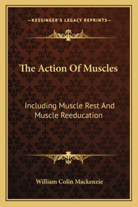 Action of Muscles