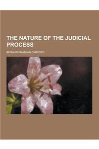 The Nature of the Judicial Process