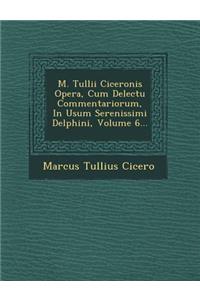 M. Tullii Ciceronis Opera, Cum Delectu Commentariorum, in Usum Serenissimi Delphini, Volume 6...