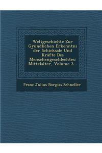 Weltgeschichte Zur Grundlichen Erkenntni Der Schicksale Und Krafte Des Menschengeschlechtes: Mittelalter, Volume 3...