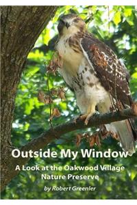 Outside My Window