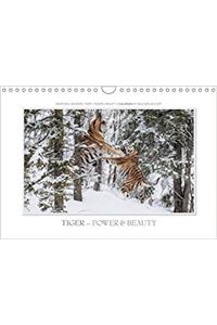 Emotional Moments: Tiger - Power & Beauty / UK-Version 2018