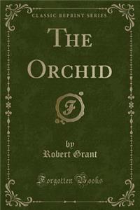 The Orchid (Classic Reprint)