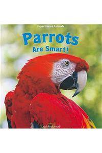 Parrots Are Smart!