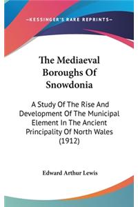 The Mediaeval Boroughs Of Snowdonia