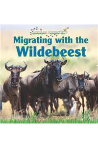 Migrating with the Wildebeest