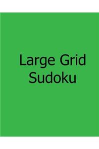 Large Grid Sudoku