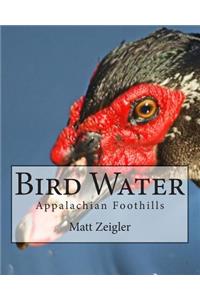 Bird Water