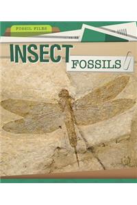 Insect Fossils