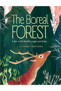 Boreal Forest