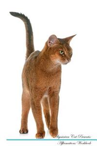 Abyssinian Cat Affirmations Workbook Abyssinian Cat Presents