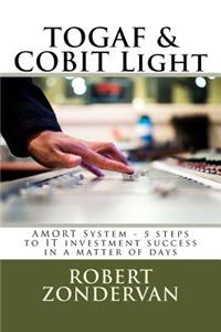 TOGAF & COBIT Light