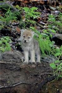 Timber Wolf Cub in Montana Journal: 150 page lined notebook/diary