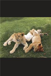 Three Lion Cubs Journal