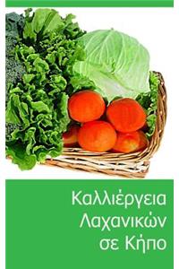 Grow Vegetables in Your Garden