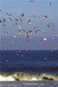 Flock of Seagulls on the Coast Journal