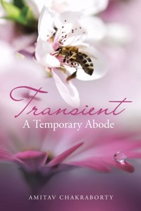 Transient - a Temporary Abode