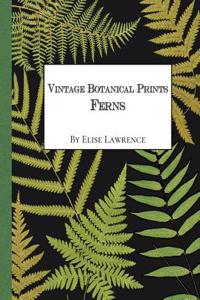 Vintage Botanical Prints: Ferns