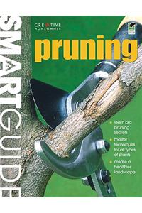 Pruning