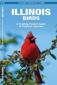 Illinois Birds