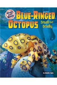 Blue-Ringed Octopus