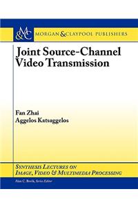 Joint Source-Channel Video Transmission