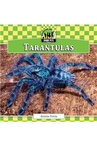 Tarantulas