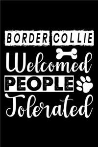 Border Collie Welcome People Tolerated