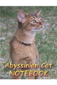 Abyssinian Cat NOTEBOOK