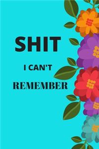 Shit I Can't Remember