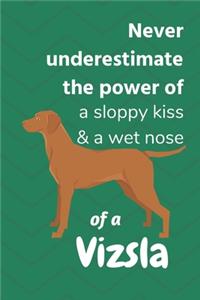 Never underestimate the power of a sloppy kiss & a wet nose of a Vizsla