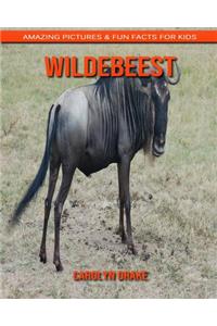 Wildebeest