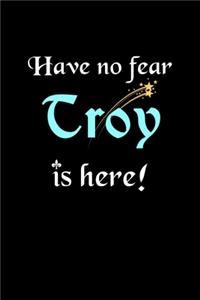 Have No Fear, Troy Is Here