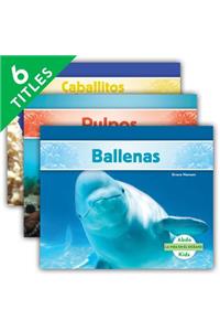 La Vida En El Océano (Ocean Life) (Spanish Version) (Set)
