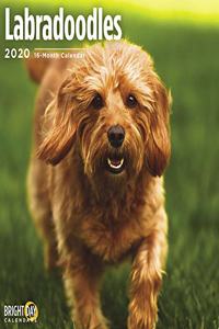 LABRADOODLES WALL CALENDAR 2020