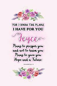 I know the plans I have for you Joyce