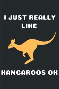 I Just Really Like Kangaroos Ok