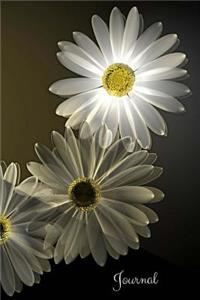 Journal