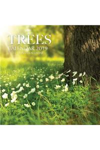 Trees Calendar 2019